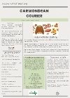 Courier 25926